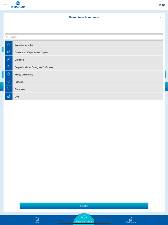 eReporting Plakat