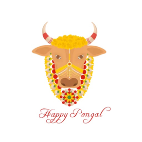 Beautiful Pongal Stickers