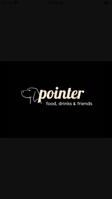 Pointer Dénia poster