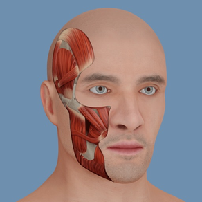 VOKA 3D Human Anatomy AR Atlas