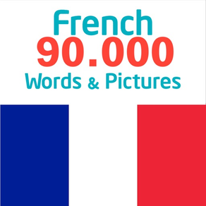 French 90.000 Words & Pictures