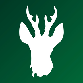 Roebuck Calls for Roe Deer