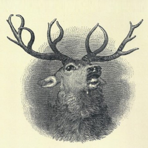 599 Elks
