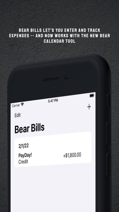 Bear Tools poster