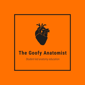 The Goofy Anatomist