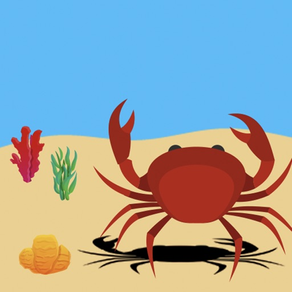 Crab - Survival on the beach