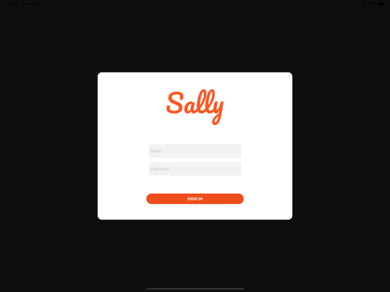 Sally Vision poster