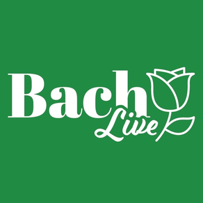 Bach Live