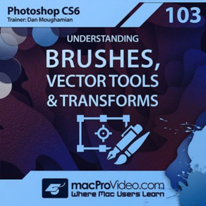 Brushes, Vector Tools Course