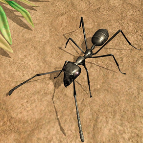 개미 곤충 생명 생존 전쟁