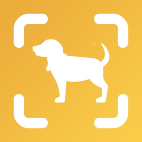 Dog Scan - Breed Identifier