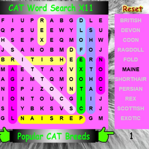 SLX Cat Word Search