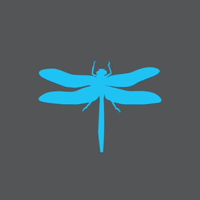 Dragonfly - Market Research