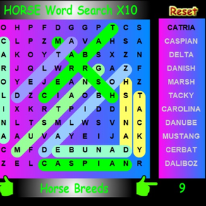 SLX Horse Word Search