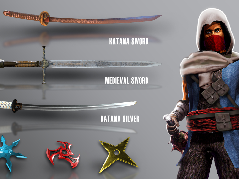 Samurai Assassin Ninja Warrior Affiche