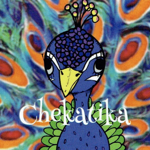 ヘアーサロン chekatika