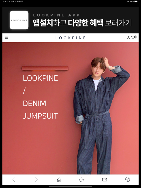 룩파인 poster