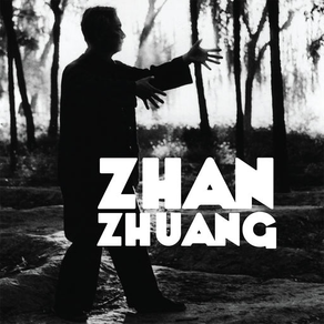 Zhan Zhuang: Nutrir la Vida