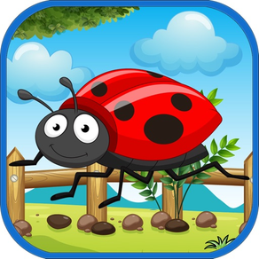 動物顏色測驗 : Bug Animal Quiz