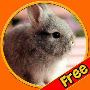 friendly rabbits for kids free