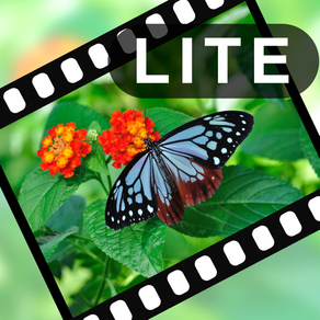 VIdeoStiller Lite -  Pull out special "moments" from your video!