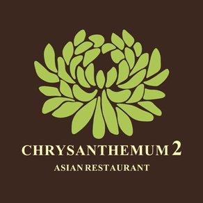 Chrysanthemum Santry