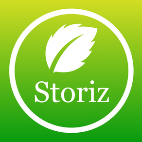 BonGEO Storiz