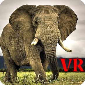 VR Elephants