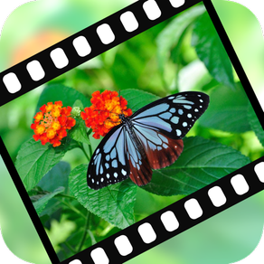 VideoStiller ~ Pull out special "moments" from your video!