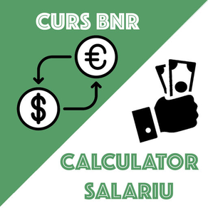 Money.ron - curs BNR, salarii