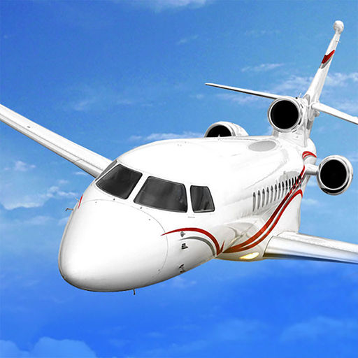 Speed Plane Driving Heavy Duty Cargo Luxury VIP Airliner Experience ...