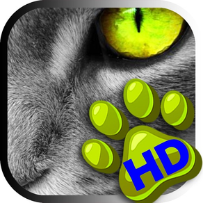 Animal Fondos – Gratis Fotos Y Fondo Antecedentes