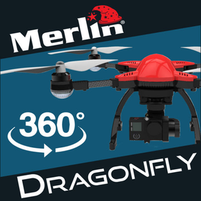 Merlin Dragonfly