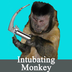 Intubating Monkey