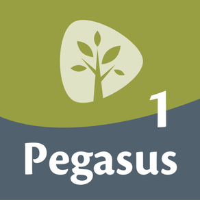 Pegasus 1 woordentrainer Latijn