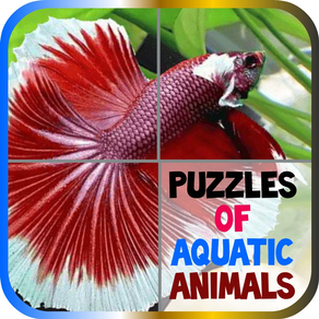 Puzzles of Aquatic Animals Free