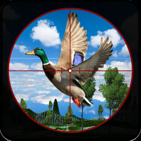 Safari jungle Bird hunting 3D