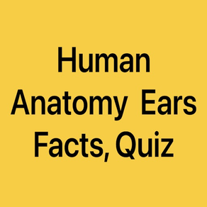 Human Anatomy Ears Facts, Quiz