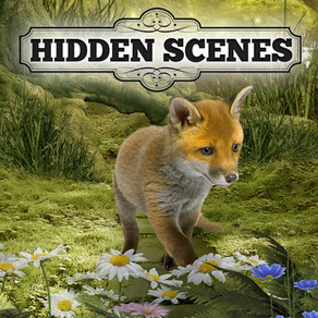 Hidden Scenes - Cute Critters