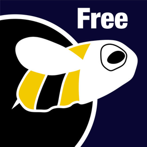 Bee Black Hole Free