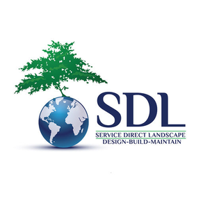 SDL Client App