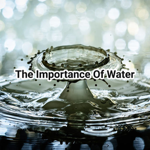 The Importance Of Water