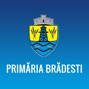 Primaria Bradesti