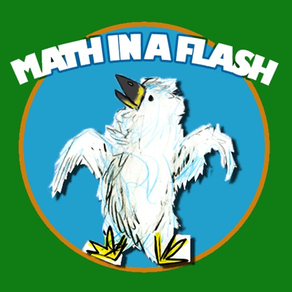 Math In A Flash (lite)