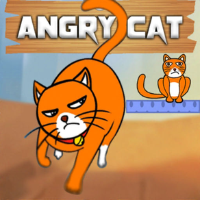 Hello Angry Cat