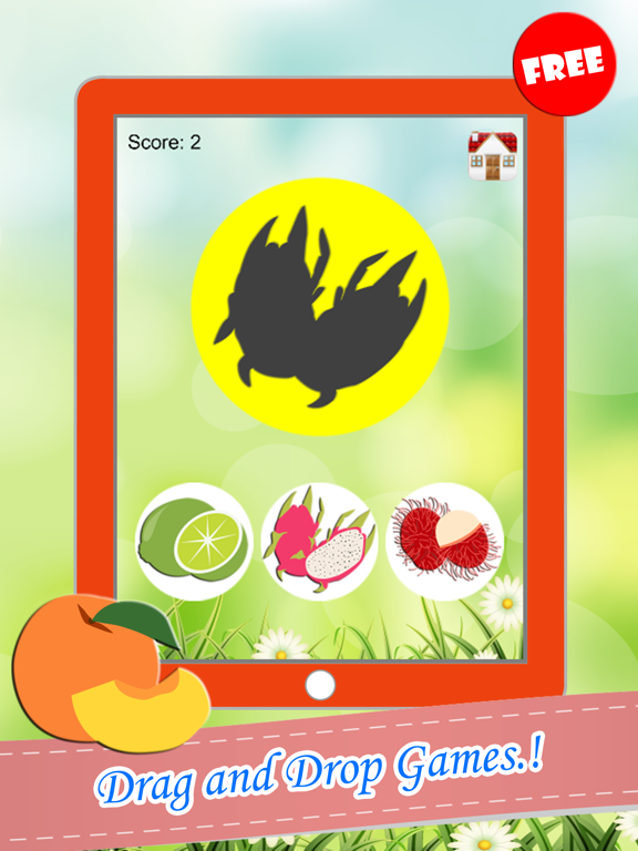 Fruits Drag And Drop Shadow Match Games For Kids poster