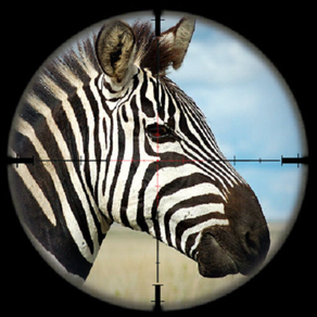 Wild Zebra Hunting Simulator