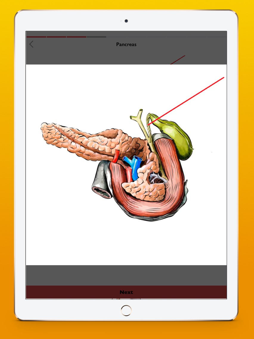 Digestive system atlas for iOS (iPhone/iPad) Latest Version at $0.99 on ...