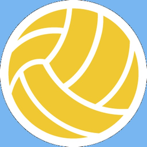Multiplayer Volleyball