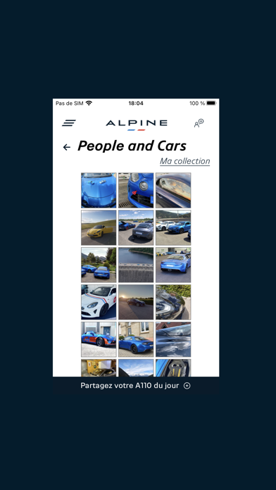 ALPINE Cartaz